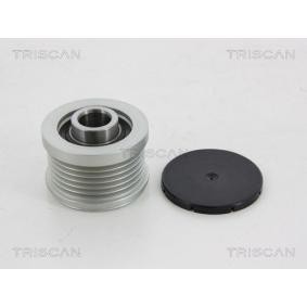 Generatorfreilauf für NISSAN von TRISCAN