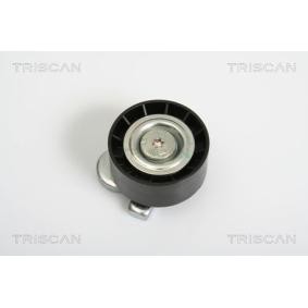 Comprar Polea tensora, correa poli V de TRISCAN 8641 151005 a bajo precio de 84,90 €