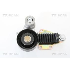 Spannarm, Keilrippenriemen für FIAT von TRISCAN