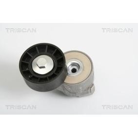 Spannarm, Keilrippenriemen für FIAT von TRISCAN