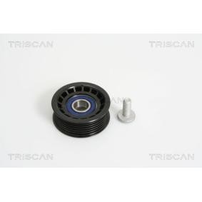 Comprar Polea inversión / guía, correa poli V de TRISCAN 8641 162005 a bajo precio de 23,51 €
