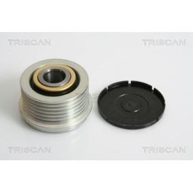 Generatorfreilauf für FORD von TRISCAN