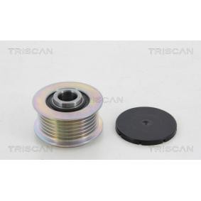Generatorfreilauf für FORD von TRISCAN