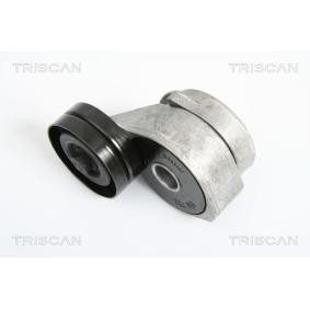 Compre Tensor, correia trapezoidal estriada da TRISCAN 8641 173001 a um preço baixo por 123,43 €
