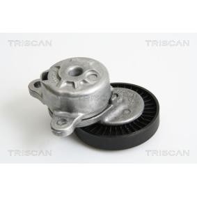 Compre Tensor, correia trapezoidal estriada da TRISCAN 8641 173003 a um preço baixo por 157,50 €