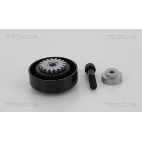 Compre Rolo tensor, correia trapezoidal estriada de TRISCAN online para Spark (M400) a preços moderados