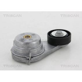 Comprar Polea tensora, correa poli V de TRISCAN 8641 231023 a bajo precio de 44,56 €