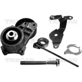 Compre Tensor, correia trapezoidal estriada da TRISCAN 8641 233006 a um preço baixo por 165,60 €