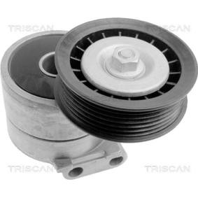 Acquista Braccio tenditore, Cinghia Poly-V da TRISCAN 8641 243006 a buon mercato per soli 113,05 €
