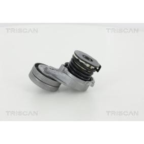 Spannarm, Keilrippenriemen für HONDA von TRISCAN