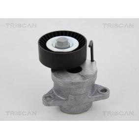 Acquista Braccio tenditore, Cinghia Poly-V da TRISCAN 8641 243013 a buon mercato per soli 104,32 €
