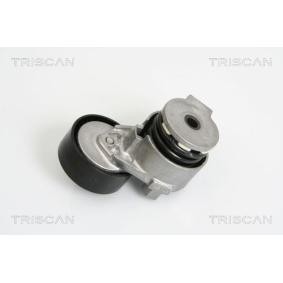 Compre Tensor da correia do alternador de TRISCAN online para DOKKER Pick-up a preços moderados