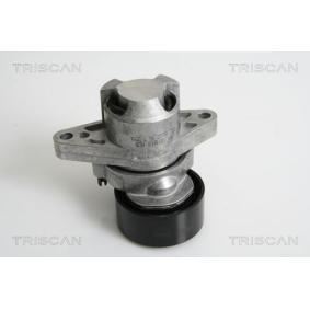 Compre Tensor, correia trapezoidal estriada da TRISCAN 8641 253008 a um preço baixo por 52,66 €
