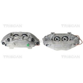 Umlenk- / Führungsrolle, Keilrippenriemen für CITROËN von TRISCAN