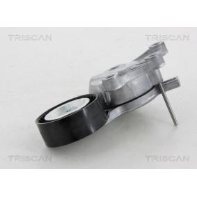 Compre Tensor de correia, correia trapezoidal estriada da TRISCAN 8641 281027 a um preço baixo por 79,77 €
