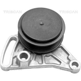 Comprar Polea tensora, correa poli V de TRISCAN 8641 291004 a bajo precio de 54,75 €