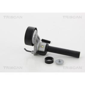 Comprar Polea tensora, correa poli V de TRISCAN 8641 292026 a bajo precio de 100,75 €