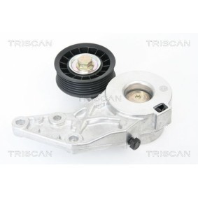 Comprar Polea tensora, correa poli V de TRISCAN 8641 293013 a bajo precio de 110,97 €