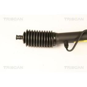 Spannarm, Keilrippenriemen für VW von TRISCAN