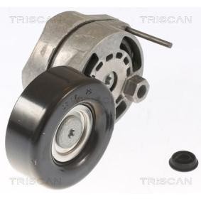 Comprar Polea tensora, correa poli V de TRISCAN 8641 293024 a bajo precio de 77,59 €