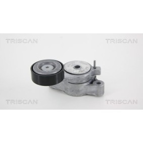 Comprar Polea tensora, correa poli V de TRISCAN 8641 293037 a bajo precio de 69,32 €
