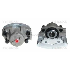 Spannarm, Keilrippenriemen 8641 403006