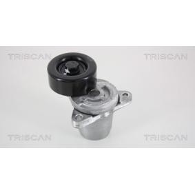 Spannarm, Keilrippenriemen für HYUNDAI von TRISCAN