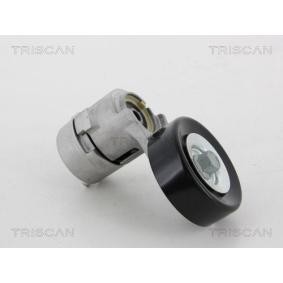 Compre Tensor de la correa trapecial poli v de TRISCAN online para Cadenza I (VG) a precios moderados