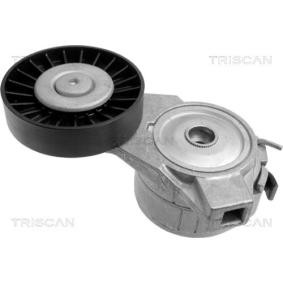 Acquista Braccio tenditore, Cinghia Poly-V da TRISCAN 8641 653001 a buon mercato per soli 127,21 €