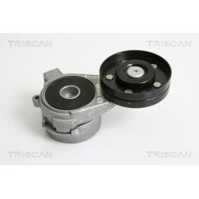 Acquista Braccio tenditore, Cinghia Poly-V da TRISCAN 8641 653003 a buon mercato per soli 168,39 €