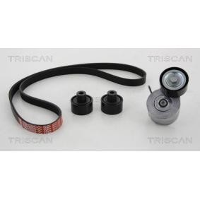 Acquista Kit Cinghie Poly-V da TRISCAN 8642 10009 a buon mercato per soli 179,56 €