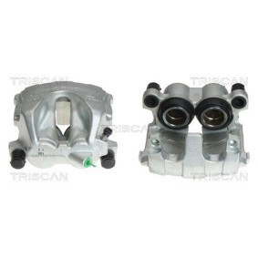 Spannrolle, Zahnriemen 8646 18101