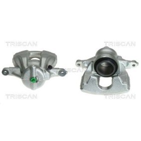 Spannrolle, Zahnriemen 8646 24116