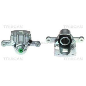 Compre Polea tensora, correa dentada de TRISCAN online para Aeroback Hatchback (C2_A, C9_L) a precios moderados