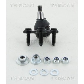 Spannrolle, Zahnriemen 8646 42124 von TRISCAN günstig für 20,81 € online kaufen