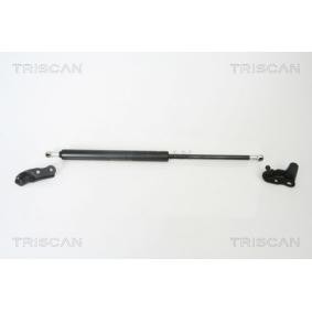Köp Gasfjäder till baklucka av TRISCAN 8710 13265 till det låga priset 242,36 kr
