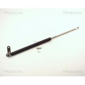 Compre Maletero de TRISCAN online para Sunny III Hatchback (N14) a precios moderados