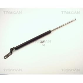 Compre Maletero de TRISCAN online para Sunny III Hatchback (N14) a precios moderados