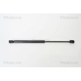 Motorhaubendämpfer für KIA von TRISCAN