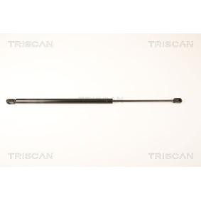 Heckklappendämpfer von TRISCAN