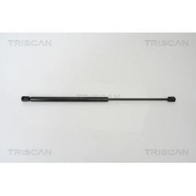 Motorhaubendämpfer von TRISCAN