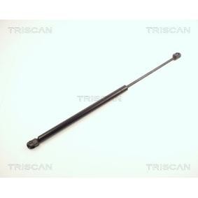 Heckklappendämpfer von TRISCAN