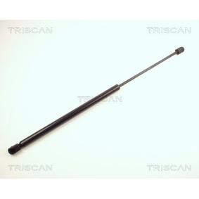 Heckklappendämpfer von TRISCAN