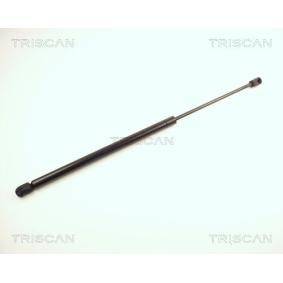 Heckklappendämpfer von TRISCAN