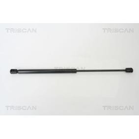 Heckklappendämpfer von TRISCAN