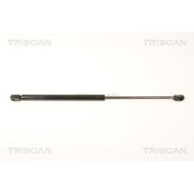 Heckklappendämpfer von TRISCAN