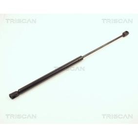 Kofferraum von TRISCAN für Cavalier Mk II CC (J82) günstig online kaufen
