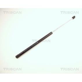 Motorhaubendämpfer für RENAULT von TRISCAN