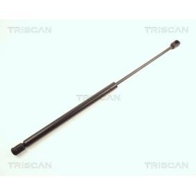 Compre Maletero de TRISCAN online para 19 I Furgoneta / Hatchback (S53) a precios moderados