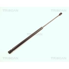 Compre Maletero de TRISCAN online para 19 I Furgoneta / Hatchback (S53) a precios moderados